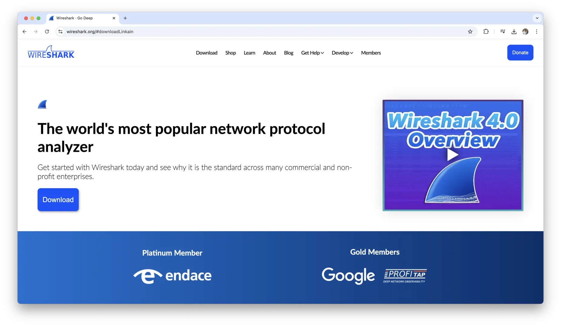 Wireshark logo