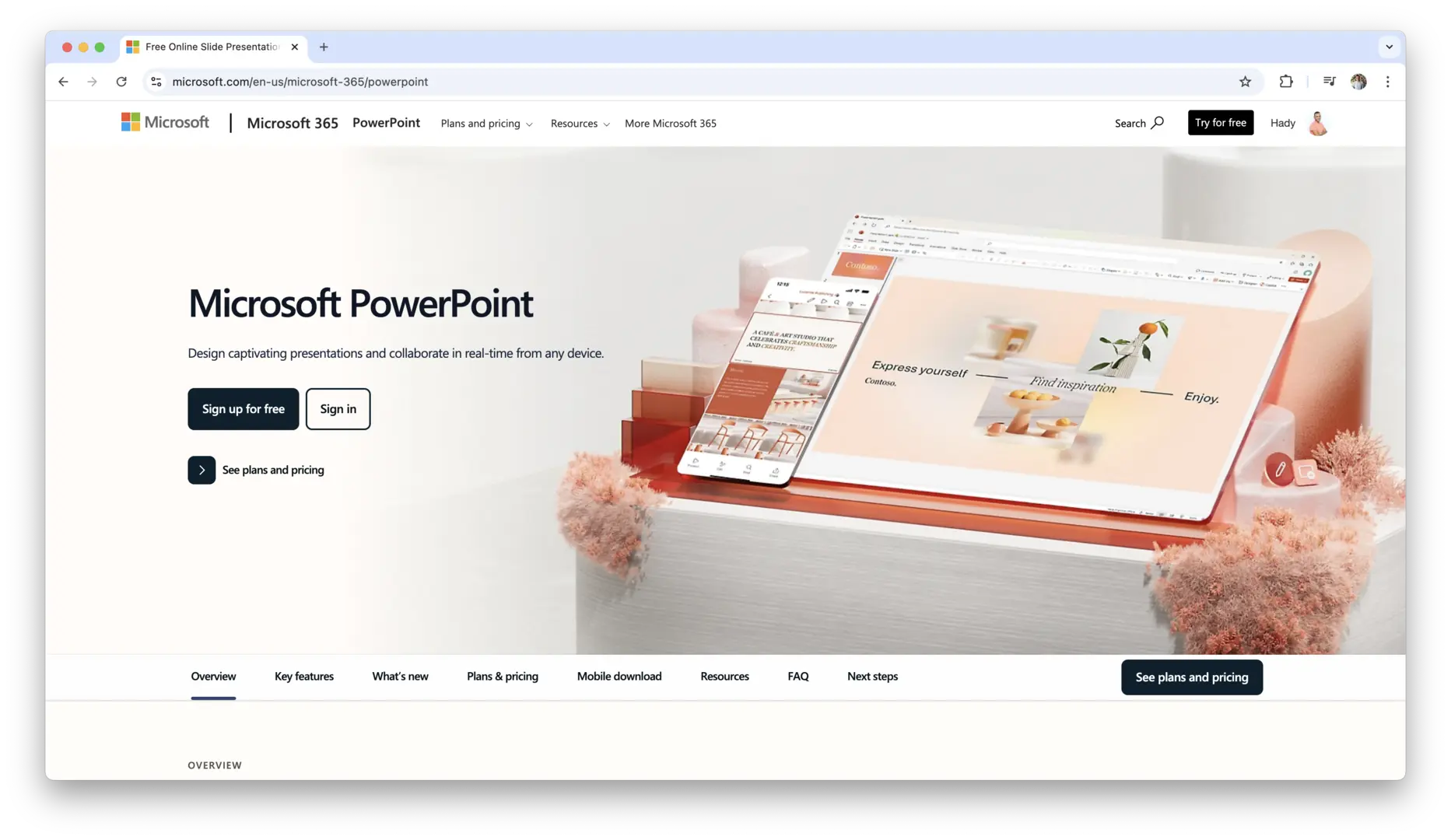 PowerPoint logo