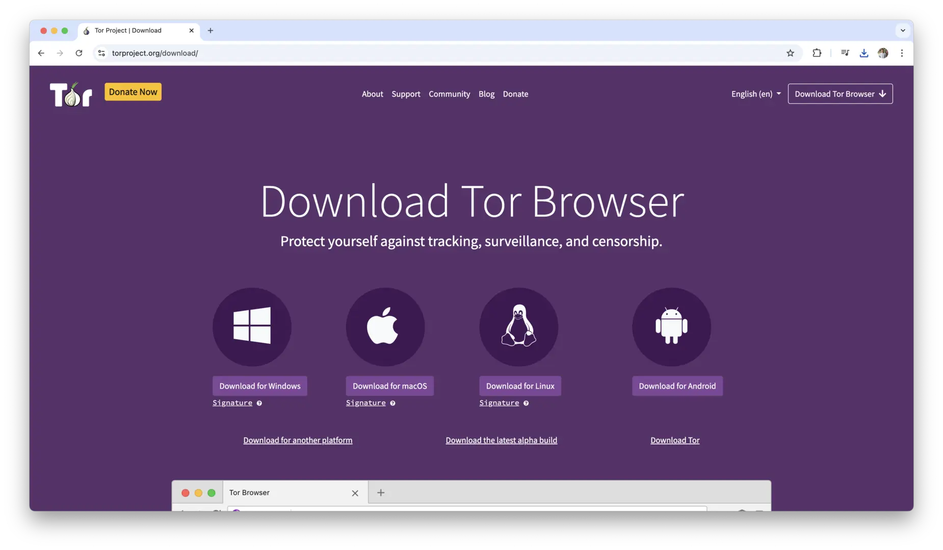 Browser logo
