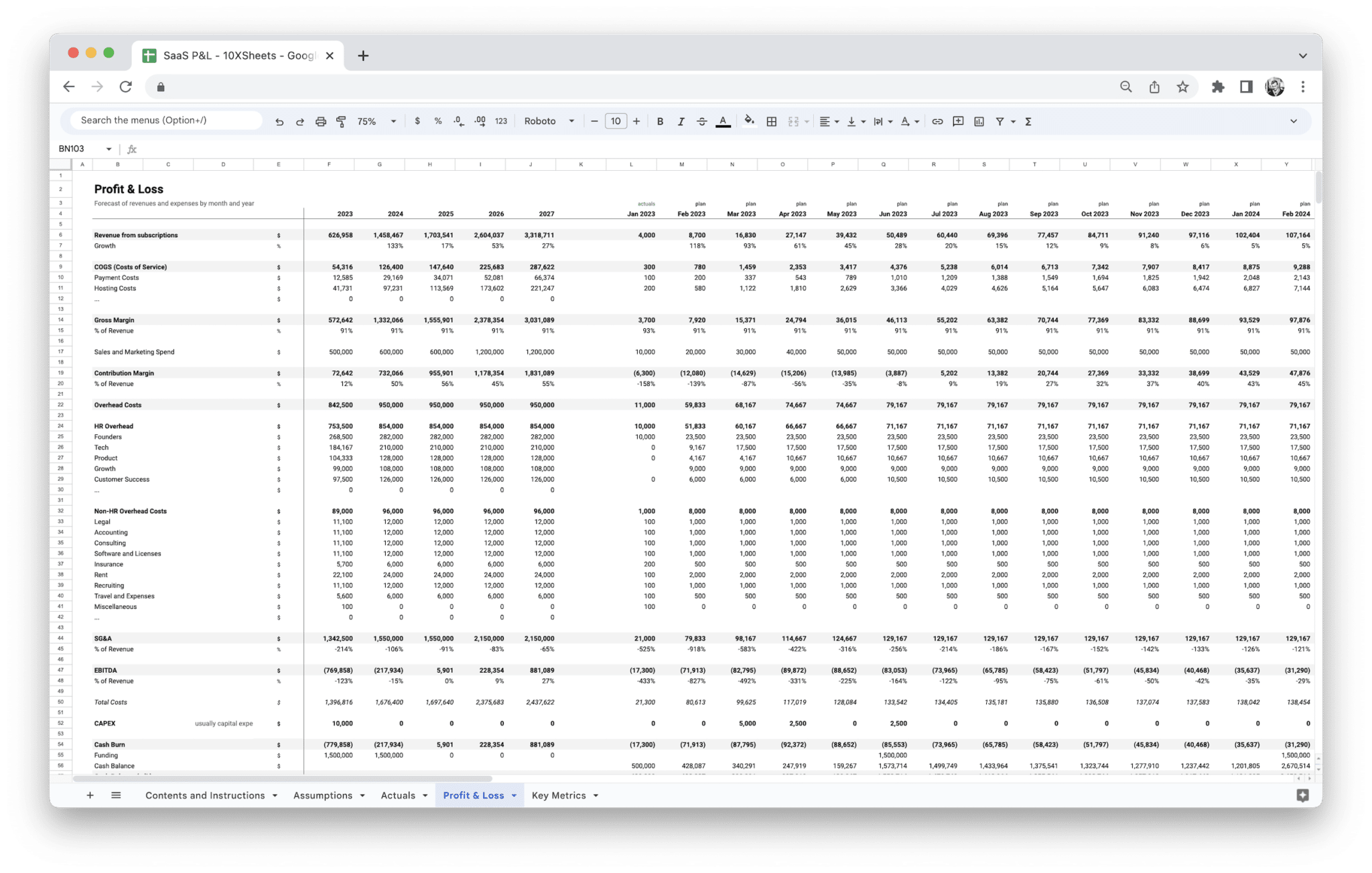 SaaS Profit and Loss Statement template showing the monthly Profit & Loss tab with revenue, expenses, and net results in Google Sheets
