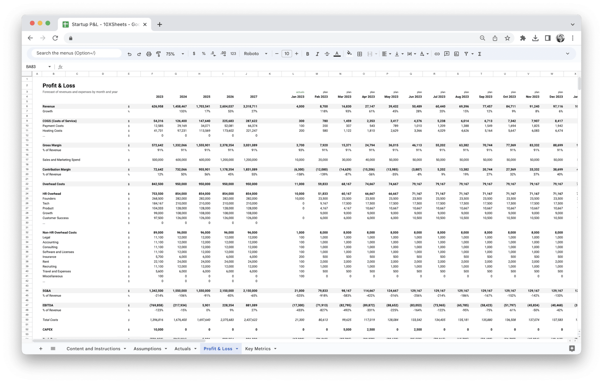 Startup Profit and Loss Statement - Startup Pl Profit Loss screenshot in Google Sheets