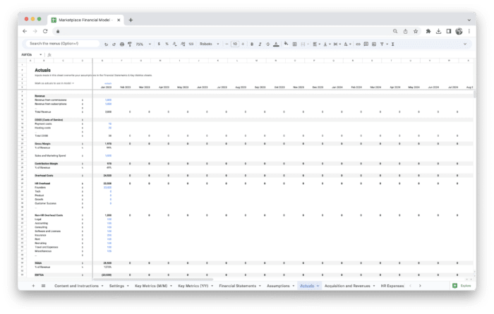 Marketplace Financial Model Template - Actuals