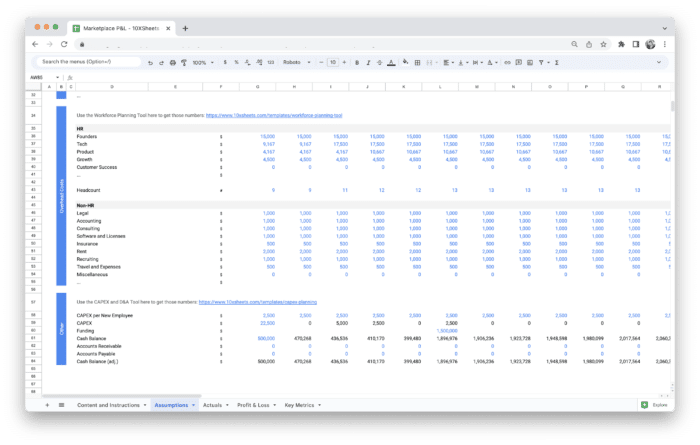 Marketplace Profit and Loss Statement P&L Template - Assumptions