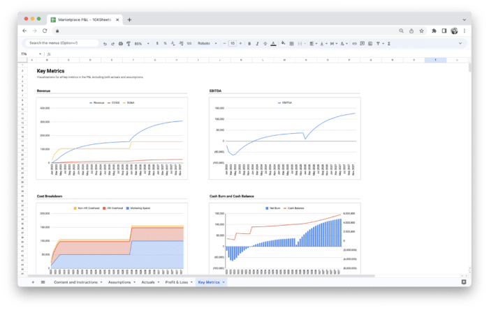 Marketplace Profit and Loss Statement P&L Template - Key Metrics