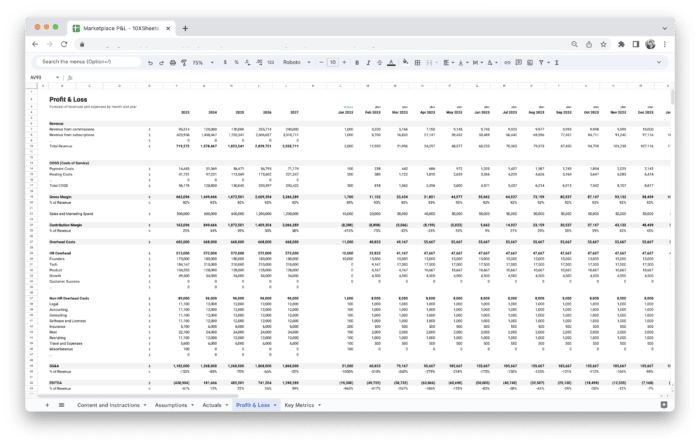 Marketplace Profit and Loss Statement - P&L Statement Template