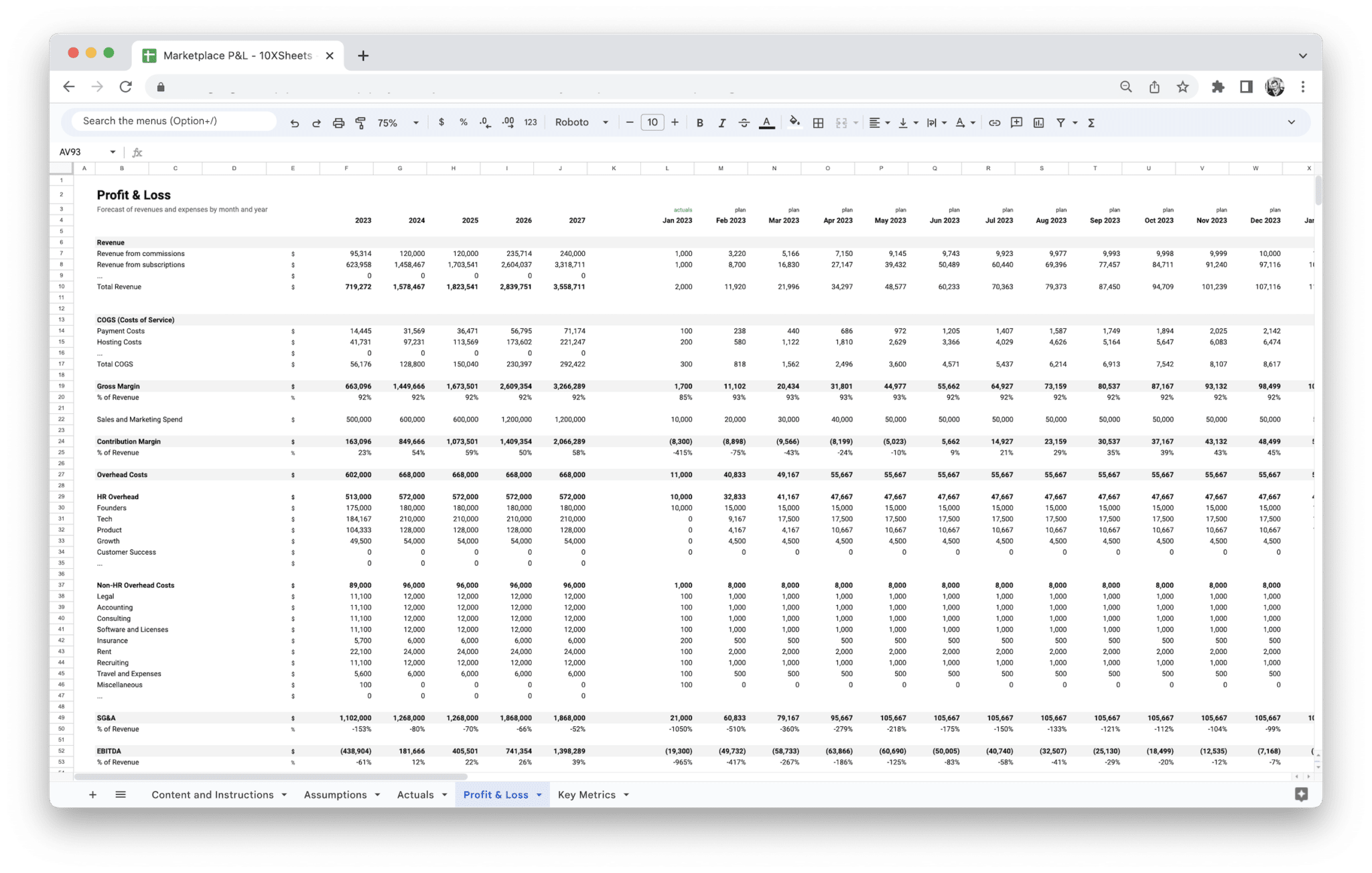 Marketplace Profit and Loss Statement - P&L Statement Template