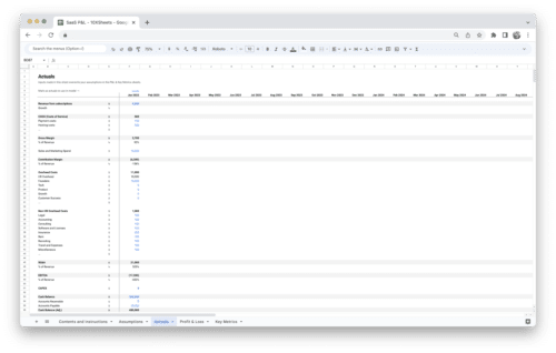 SaaS Profit and Loss Statement P&L Template - Actuals