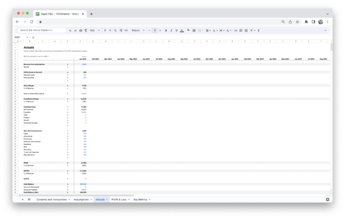 SaaS Profit and Loss Statement P&L Template - Actuals