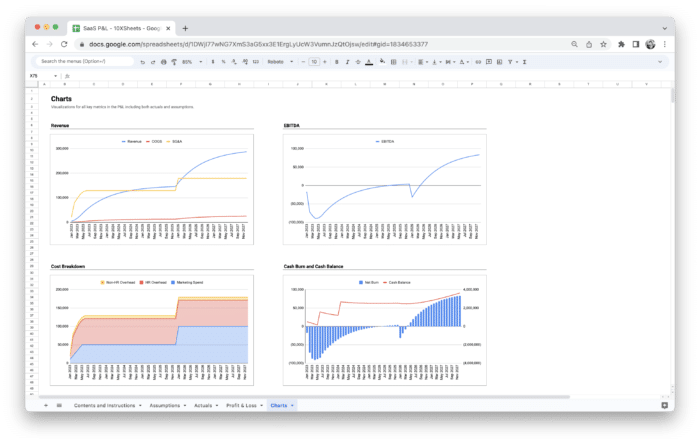 SaaS Profit and Loss Statement P&L Template - Charts