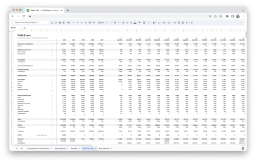 SaaS Profit and Loss Statement P&L Template - P&L Statement