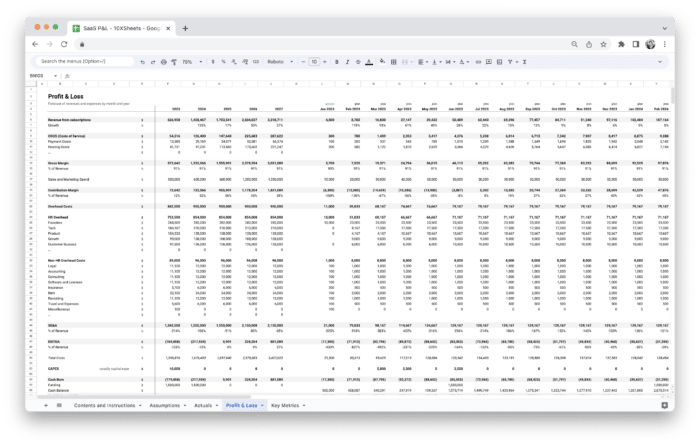 SaaS Profit and Loss Statement P&L Template - P&L Statement