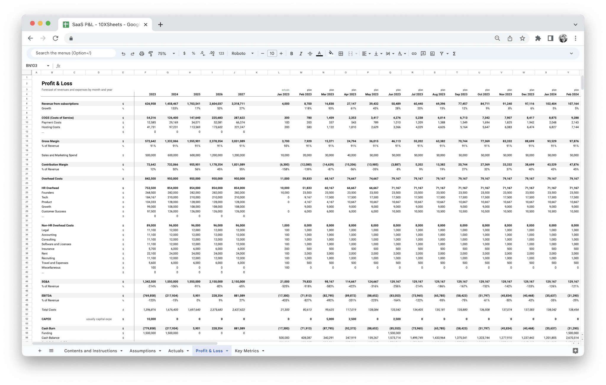 SaaS Profit and Loss Statement P&L Template - P&L Statement