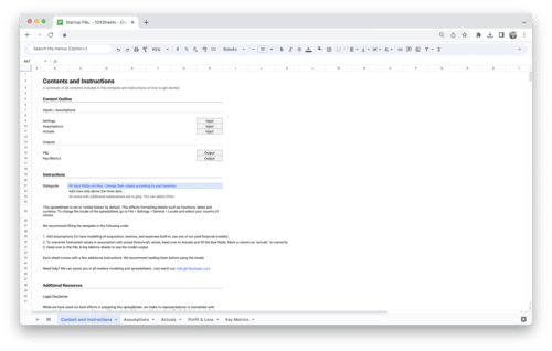 Startup Profit and Loss Statement - Contents and Instructions