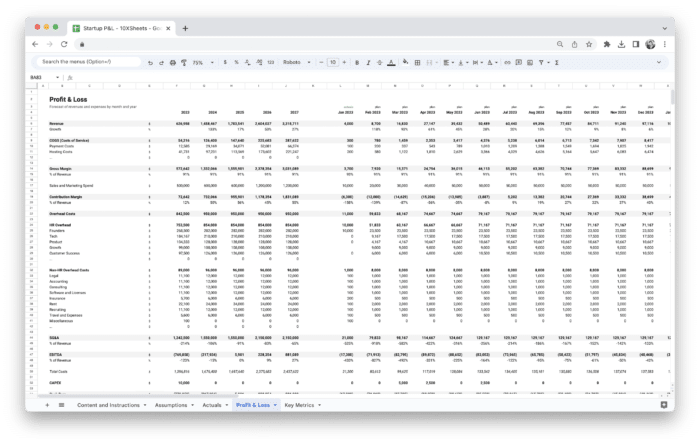 Startup Profit and Loss Statement - P&L Template