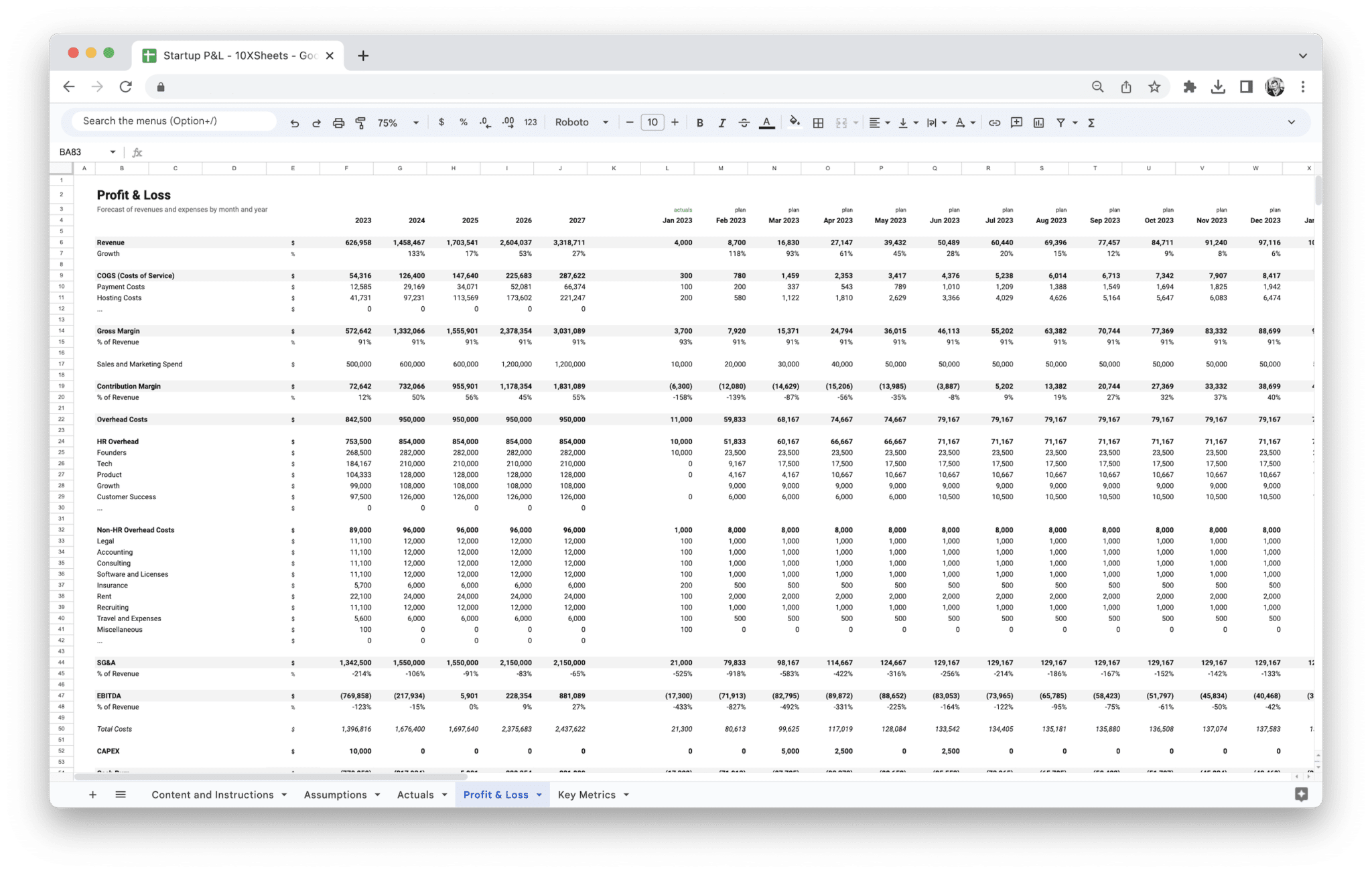 Startup Profit and Loss Statement - P&L Template