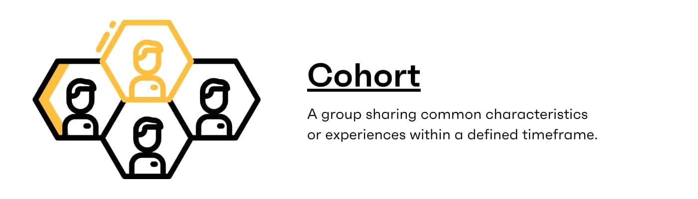 What is a Cohort Meaning Analysis Examples
