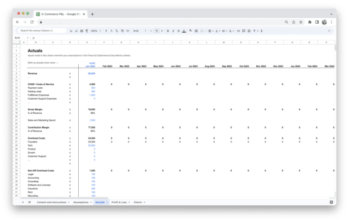 E-Commerce Profit and Loss P&L Statement Template - Actuals